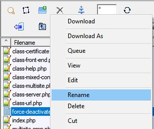 Really Simple SSLのFTPから停止解除方法