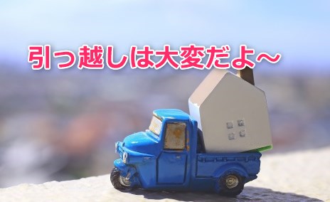 ブログの引っ越しは大変だよ