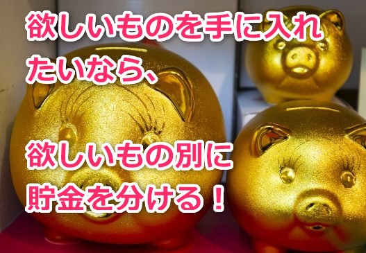 欲しいもの別に貯金を分ける
